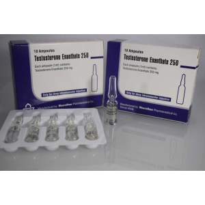 Aburaihan Testosterone Enanthate 250 Mg 10 Ampul